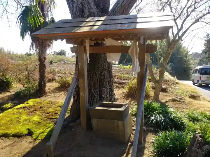 駒込観音堂の手水舎