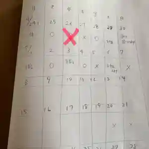 鳳仙寺(栃木県)(2023年04月26日(水) 00時03分26秒投稿)