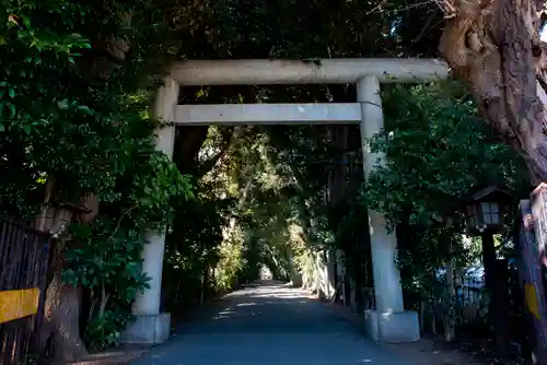 岩槻久伊豆神社の鳥居