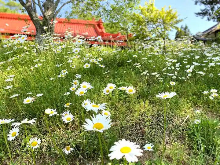 座光如来寺(元善光寺)(長野県)