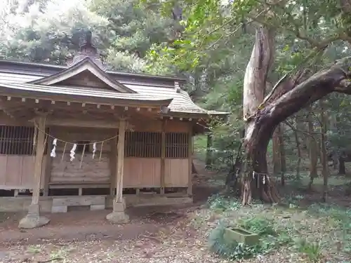 芝崎神社の本殿