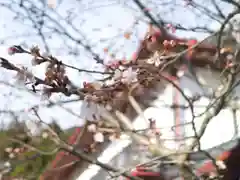 金蛇水神社の自然