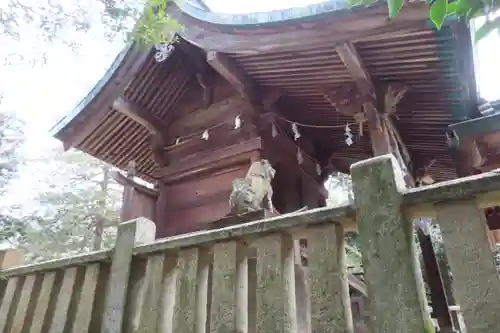 賀羅加波神社の狛犬