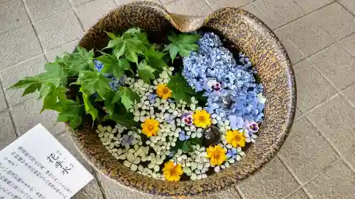 美瑛神社の手水舎