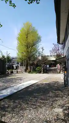 吾妻神社のその他建物