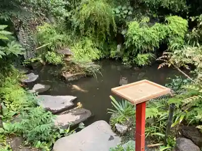 大綱金刀比羅神社の自然