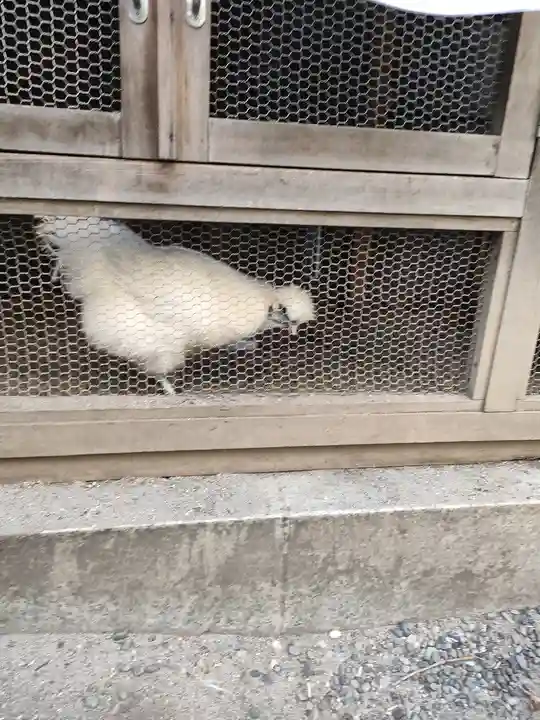 櫻木神社(東京都)