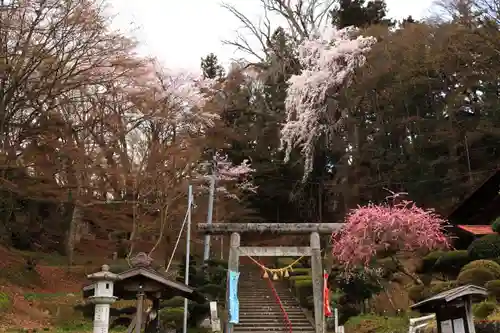 三春大神宮の鳥居