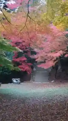 諏訪神社(鳥取県)
