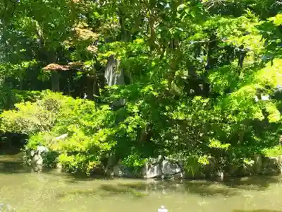 佐太神社(佐太天神宮)(大阪府)