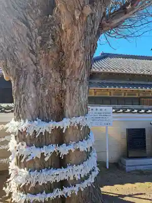 子守神社(千葉県)