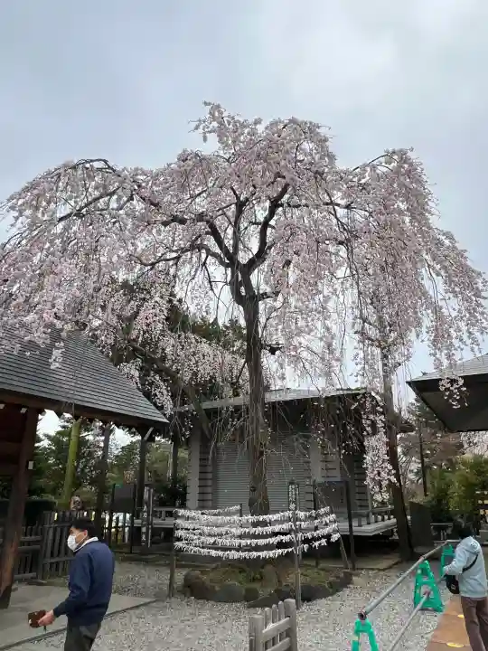 開成山大神宮(福島県)