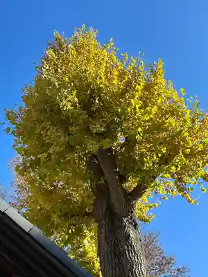 小野神社(東京都)
