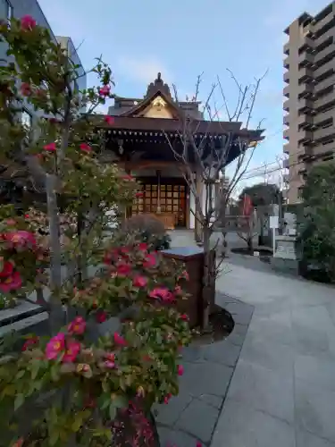 太上神社の{uncategorized: "未分類", other: "その他", undefined: "問題あり", building: "その他建物", grave: "お墓", sacred_gate: "鳥居", guardian: "狛犬", statue: "像", buddha: "仏像", history: "歴史", nature: "自然", garden: "庭園", animal: "動物", pagoda: "塔", temizu: "手水舎", mountain_gate: "山門・神門", sanctuary: "本殿・本堂", subordinate: "末社・摂社", art: "芸術", scenery: "景色", jizo: "地蔵", ema: "絵馬", goshuin: "御朱印", omikuji: "おみくじ", items: "授与品その他", amulet: "お守り", goshuincho: "御朱印帳", eats: "食事", festival: "お祭り", votive_dance: "神楽", shichigosan: "七五三参", wedding: "結婚式", experience: "体験その他", initially: "初詣", around: "周辺", anti_infection: "感染症対策"}
