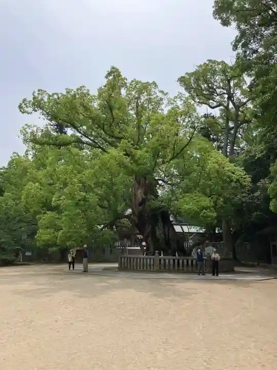 大山祇神社の自然