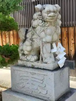 住吉神社の狛犬