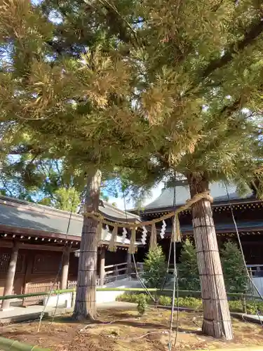 寒川神社(神奈川県)