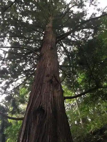 不動寺の自然