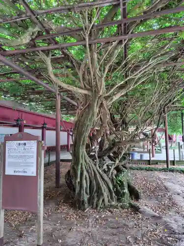 笠間稲荷神社(茨城県)