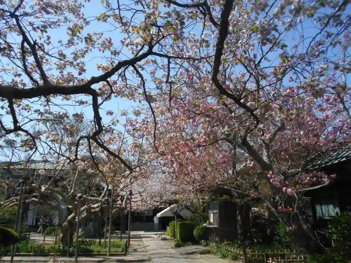 極楽寺(霊鷲山感應院極楽律寺)の自然