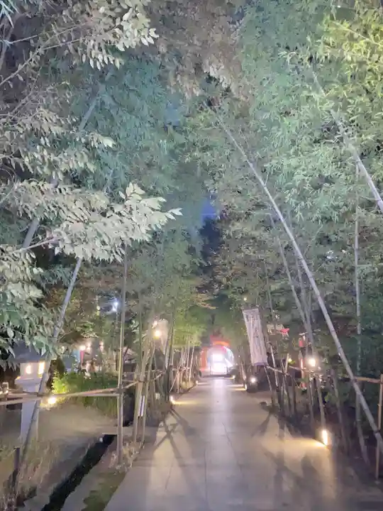 來宮神社の自然