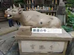 三室戸寺の狛犬