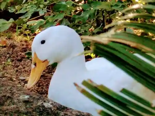楽法寺（雨引観音）(茨城県)
