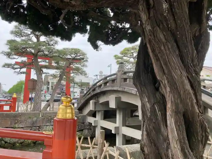 鶴岡八幡宮の{uncategorized: "未分類", other: "その他", undefined: "問題あり", building: "その他建物", grave: "お墓", sacred_gate: "鳥居", guardian: "狛犬", statue: "像", buddha: "仏像", history: "歴史", nature: "自然", garden: "庭園", animal: "動物", pagoda: "塔", temizu: "手水舎", mountain_gate: "山門・神門", sanctuary: "本殿・本堂", subordinate: "末社・摂社", art: "芸術", scenery: "景色", jizo: "地蔵", ema: "絵馬", goshuin: "御朱印", omikuji: "おみくじ", items: "授与品その他", amulet: "お守り", goshuincho: "御朱印帳", eats: "食事", festival: "お祭り", votive_dance: "神楽", shichigosan: "七五三参", wedding: "結婚式", experience: "体験その他", initially: "初詣", around: "周辺", anti_infection: "感染症対策"}