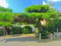 来迎院(常楽寺塔頭)の自然