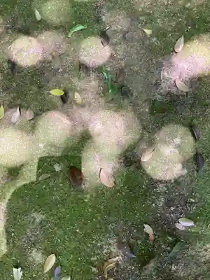 日御碕神社(島根県)