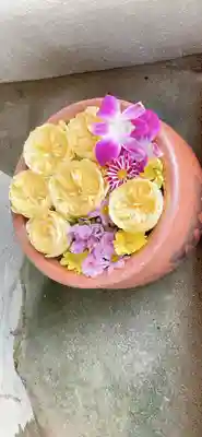 菅生神社(愛知県)