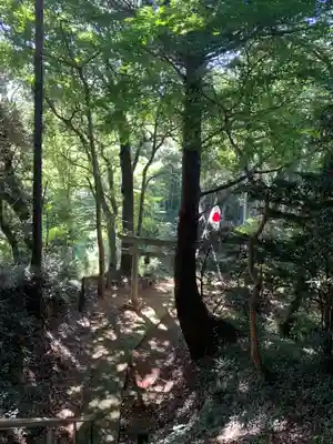 八幡神社(千葉県)