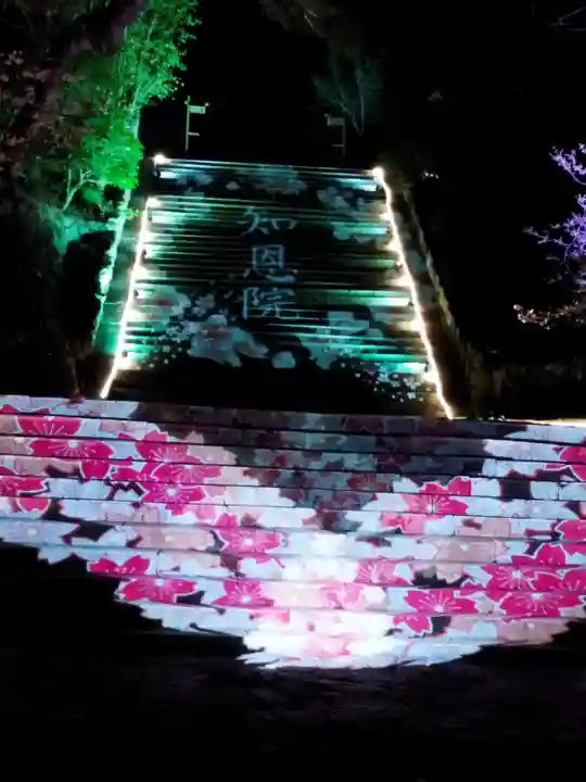 知恩院(京都府)