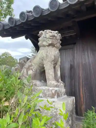 黒岡神社の狛犬