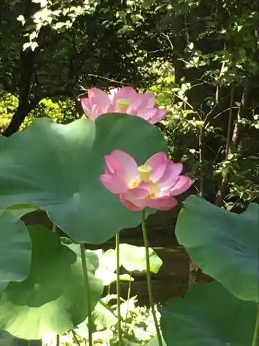廣隆寺(京都府)