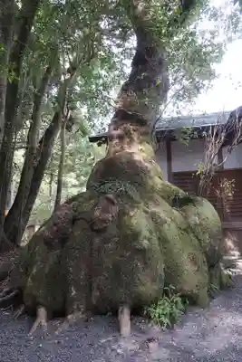 伊雜宮(皇大神宮別宮)(三重県)