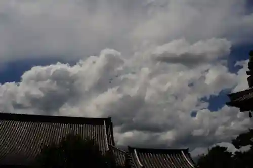 西大寺(奈良県)