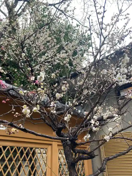 菅原院天満宮神社(京都府)
