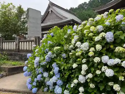 粟井神社(香川県)