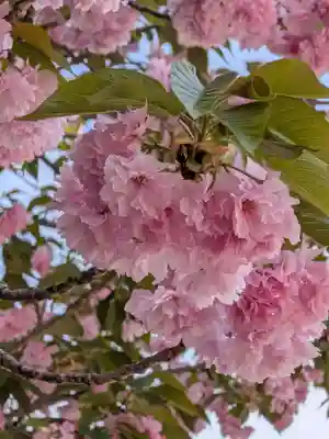 荘厳寺(東京都)