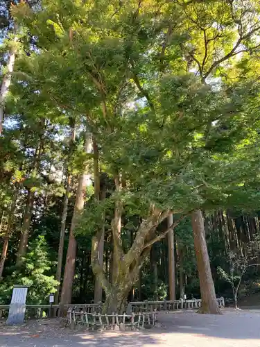 金屋神社の建物その他