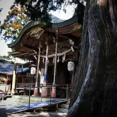 大麻比古神社の本殿