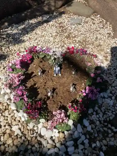鳩ヶ谷氷川神社の{uncategorized: "未分類", other: "その他", undefined: "問題あり", building: "その他建物", grave: "お墓", sacred_gate: "鳥居", guardian: "狛犬", statue: "像", buddha: "仏像", history: "歴史", nature: "自然", garden: "庭園", animal: "動物", pagoda: "塔", temizu: "手水舎", mountain_gate: "山門・神門", sanctuary: "本殿・本堂", subordinate: "末社・摂社", art: "芸術", scenery: "景色", jizo: "地蔵", ema: "絵馬", goshuin: "御朱印", omikuji: "おみくじ", items: "授与品その他", amulet: "お守り", goshuincho: "御朱印帳", eats: "食事", festival: "お祭り", votive_dance: "神楽", shichigosan: "七五三参", wedding: "結婚式", experience: "体験その他", initially: "初詣", around: "周辺", anti_infection: "感染症対策"}