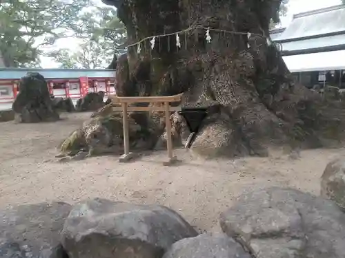 宇美八幡宮の鳥居