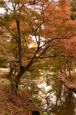 大覚寺(京都府)