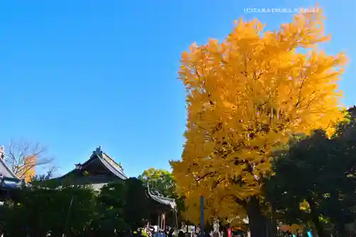 鑁阿寺(栃木県)