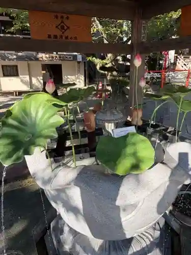 金剛宝寺（紀三井寺）(和歌山県)