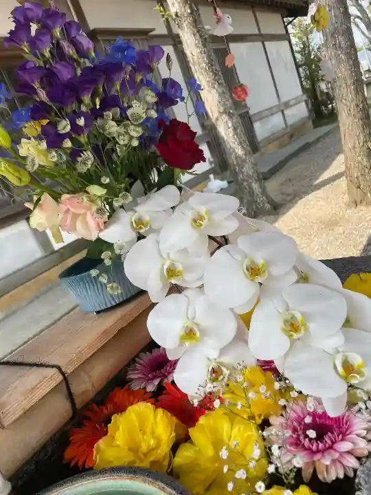 春日神社(徳島県)