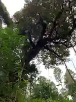 秋葉神社のその他建物