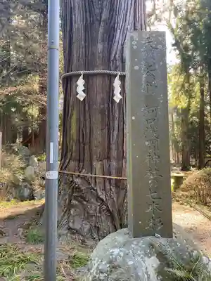 河口浅間神社(山梨県)
